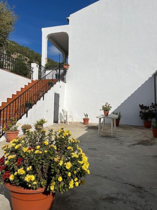 הוילה אלגודונאלס Casa La Fuente Alta מראה חיצוני תמונה
